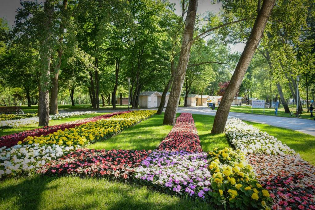 Lola Suite Zagreb Exteriör bild